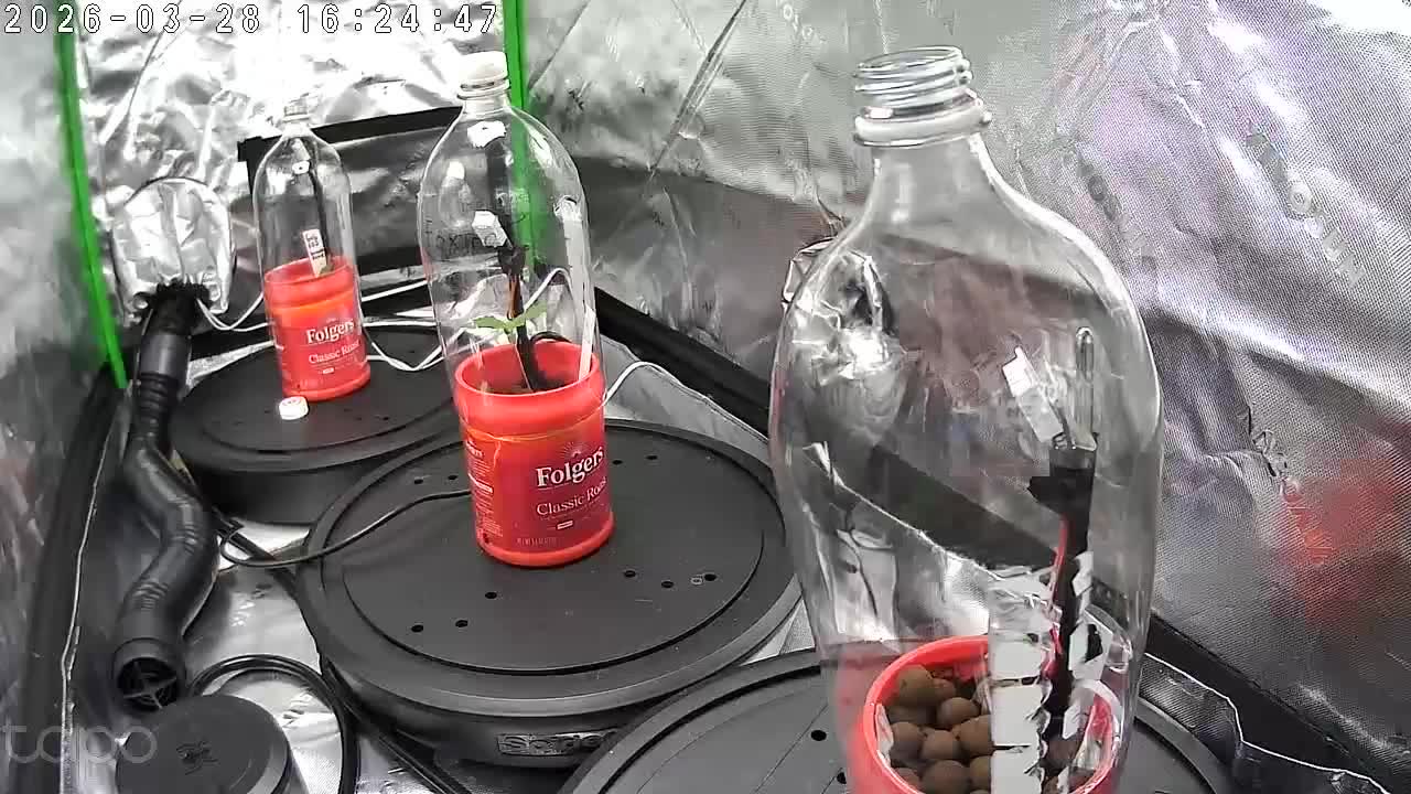 Grow Tent
